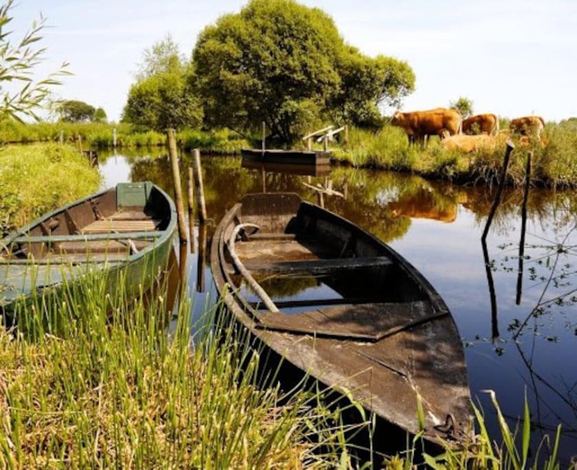Petit Appartement A La Campagne Proche Mer Missillac Dış mekan fotoğraf